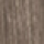Дуб Оксфорд