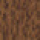 Золотой дуб